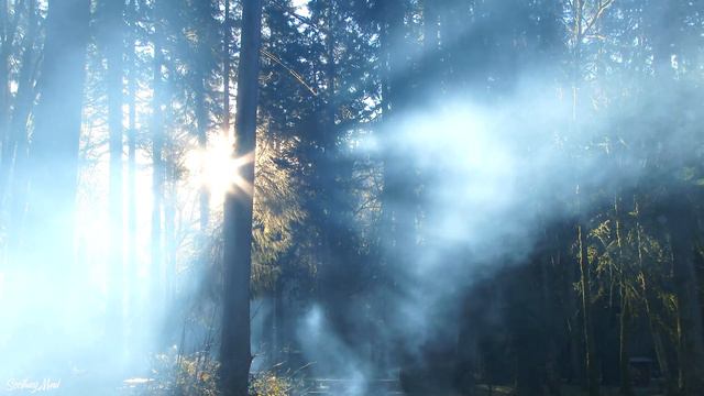 лечебная музыка для сердца и сосудов 🌿 успокаивает нервную систему и радует душу, Нежная музыка #4 смотреть онлайн