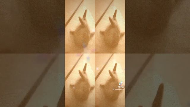 Акула Бобошка хочет свами познакомиться!!!!