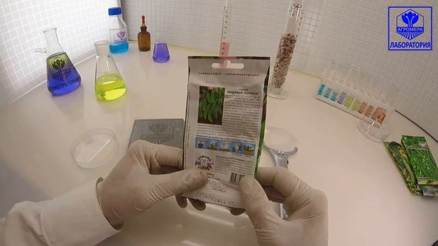 Горох Медовая Лопатка. СеДеК смотреть онлайн