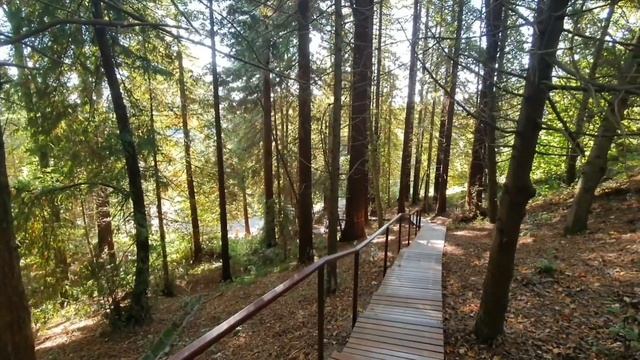 Все скидки в одном месте