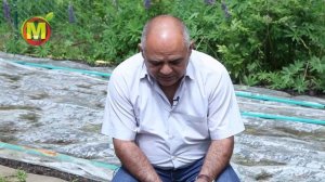 Подкормка и окучивание фасоли.