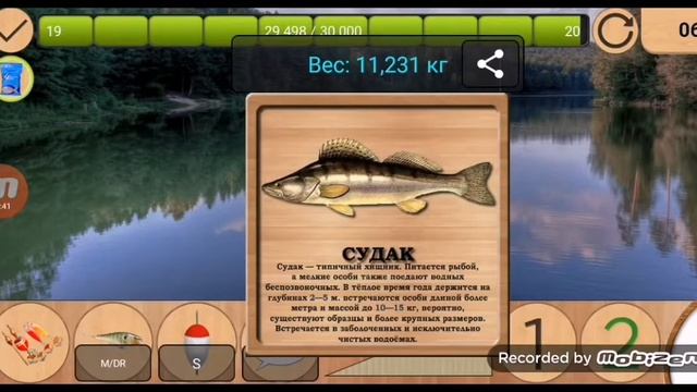 Как поймать судака на лесном озере?/РЕАЛЬНАЯ РЫБАЛКА/№2 смотреть онлайн