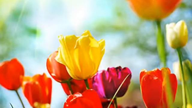 музыкальная открытка для мамочки.wmv смотреть онлайн