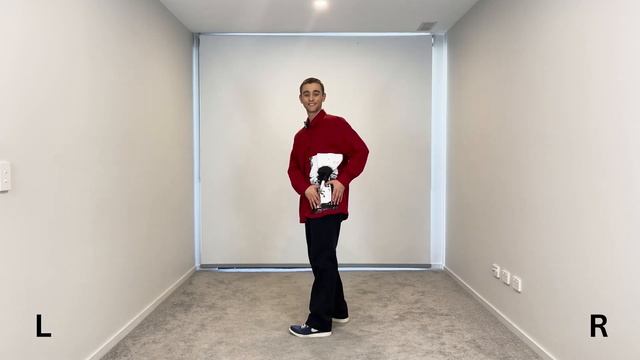 Paint The Town Red - Doja Cat | NEW Viral TikTok Dance Tutorial - EXPLAINED смотреть онлайн