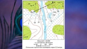 §24 «Учимся с «Полярной звездой»(6), География 8 класс, Полярная звезда, Алексеев.