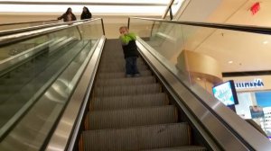 LEARNING TO USE THE ESCALATOR PART 1!
