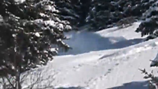 Dirk en Fred door de bomen смотреть онлайн