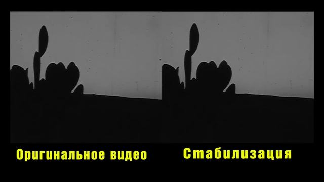 Пример стабилизации киноплёнки 8мм смотреть онлайн