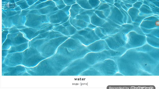 Английские слова по картинкам на тему