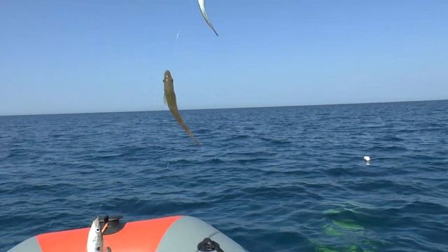 Севастополь. Орловский пляж. Ловится хорошая пикша и средняя селёдка смотреть онлайн