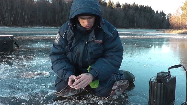 Щуки Первого Льда. РЫБАЛКА НА ЖЕРЛИЦЫ. Наконец покорилось это озеро - Болен Рыбалкой №579 смотреть онлайн