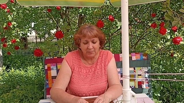 Два дня на даче ?️отдых от интернета ? от неадекватов,поспела клубника. смотреть онлайн