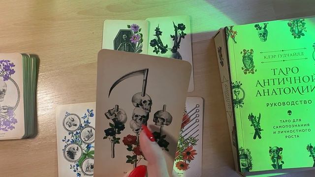 Таро Античной Анатомии : Обзор колоды Antique Anatomy Tarot смотреть онлайн