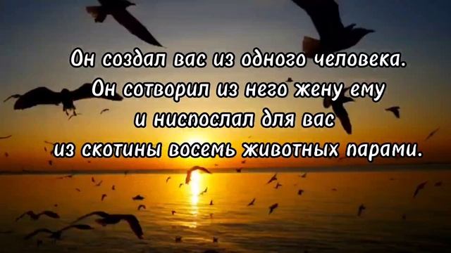 Сура Аль-Фатиха , СУРА 39: «АЗ-ЗУМАР» («ТОЛПЫ») , аяты 1-10. Чтец Салман аль - Утайби. смотреть онлайн