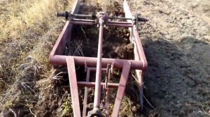 Копка картофеля прицепным картофелекопателем КСТ 1,4