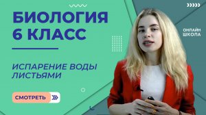 Испарение воды листьями. Урок 18. Биология 6 класс