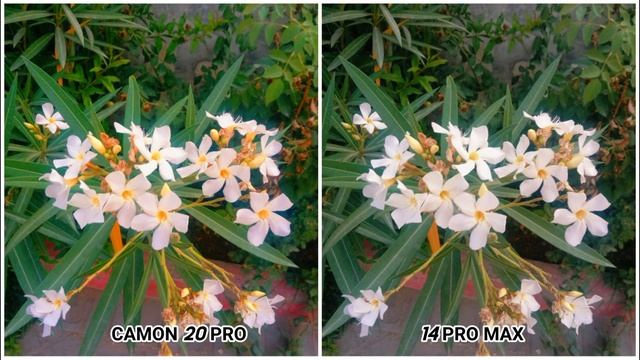 Tecno Camon 20 Pro Vs iPhone 14 Pro Max Camera Test смотреть онлайн