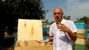 Восковая моль  Применение восковой моли в народной  медицине