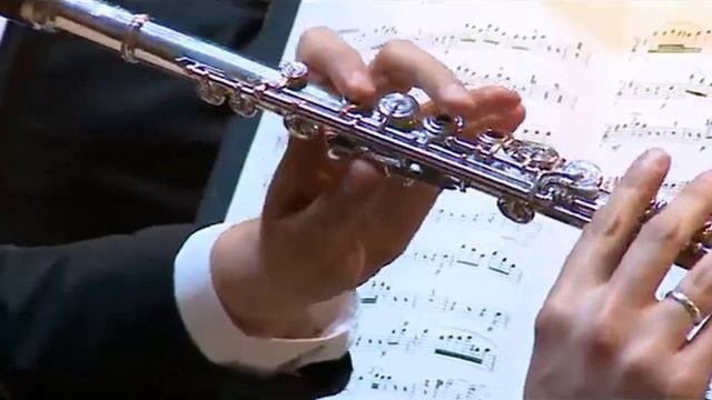 Вольфганг Амадей Моцарт. Симфония №31 ре-мажор (D-dur) «Парижская», K.297-300a. смотреть онлайн