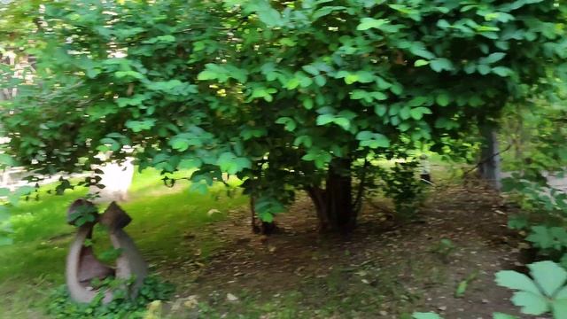 Прогулки по Еревану. Парк в центре города 2 смотреть онлайн