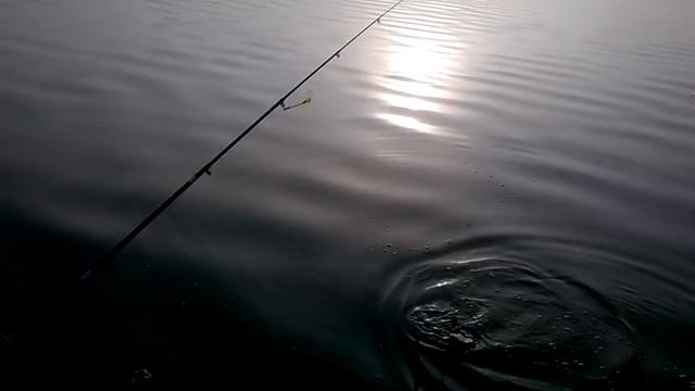 Рыбалка,Васильевка Запорожская обл. Украина. смотреть онлайн