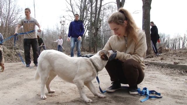 Весенний субботник в Добром Доме смотреть онлайн