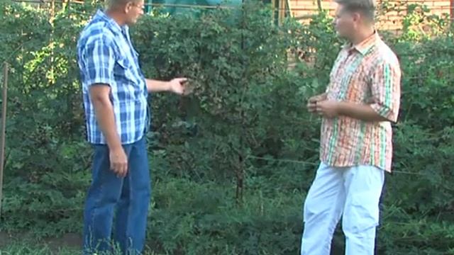 Дачная жизнь #25 смотреть онлайн