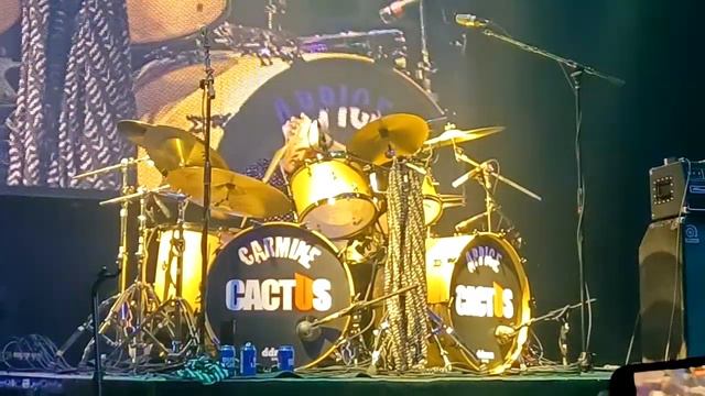🥁 CARMINE APPICE - Drum Solo
