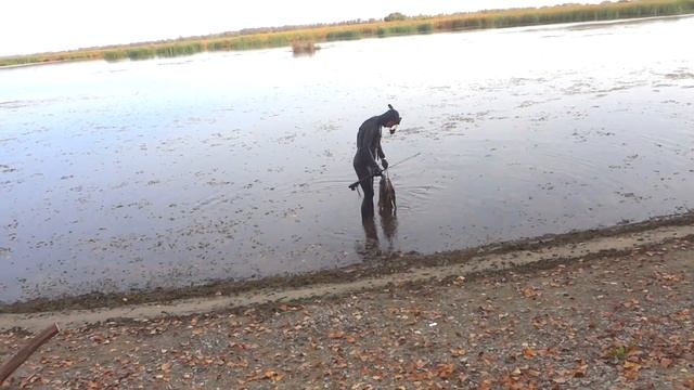 ? ДАЧА | ОКТЯБРЬ 2016 | Закрытие дачного сезона | Подводная охота рыбалка ? смотреть онлайн