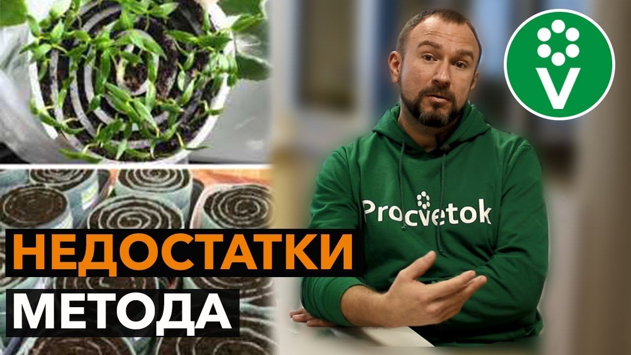 Стоит ли ВЫРАЩИВАТЬ РАССАДУ В УЛИТКАХ? смотреть онлайн