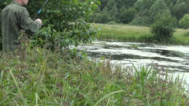 Отчёт о рыбалке №195_в июне на карася смотреть онлайн