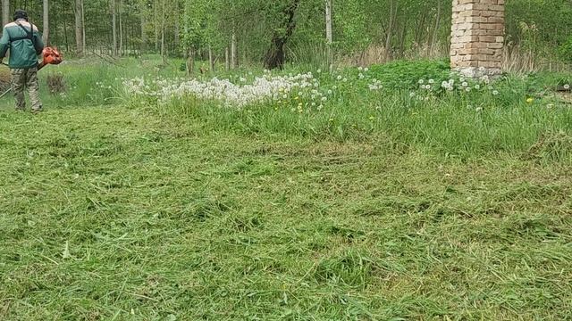 Oleo Mac 755 Master kaszálás,járatás! смотреть онлайн