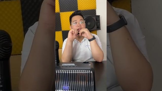 Loa karaoke bluetooth SD319 2 mic âm thanh hay nhỏ gọn phiên bản mới смотреть онлайн