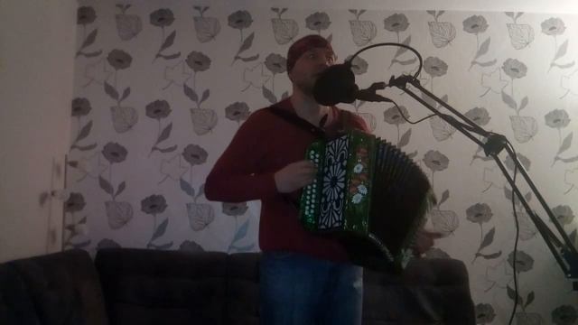 #игра на гармошке. "Песня про Гришку." "Song about Grishka." "Lied über Grishka." смотреть онлайн