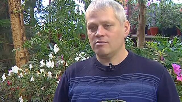 Зелёный участок. Азалия смотреть онлайн