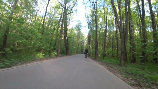 На Самокате по Лесной Дороге смотреть онлайн