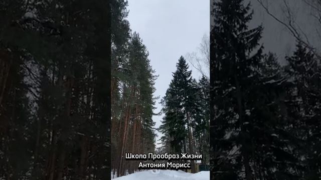 ИСПОЛНИТЕЛЬ ЖЕЛАНИЙ# КАК ИСПОЛНЯТЬ ЛЮБОЕ ЖЕЛАНИЕ#АНТОНИЯ МОРИСС# смотреть онлайн