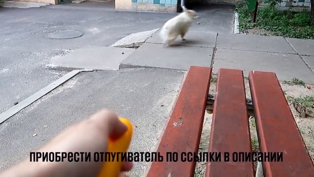 Ультразвуковой отпугиватель собак. Тест на собаках. смотреть онлайн