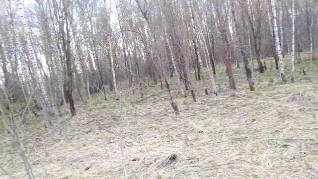 Земельный участок в д. Рождествено смотреть онлайн