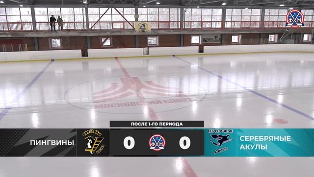 2011 | Пингвины - Серебряные акулы | 26.11.2023 смотреть онлайн