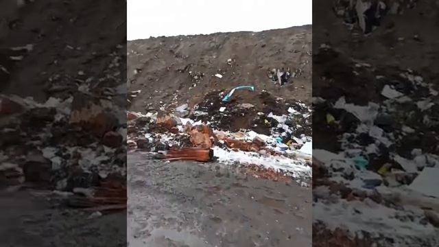 Про полигон ТКО Шатурский