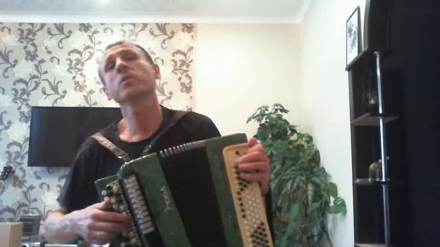 Старый клен песня под баян смотреть онлайн