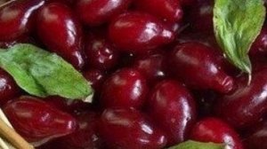 Кизил Сорт ? СВЕТЛЯЧОК