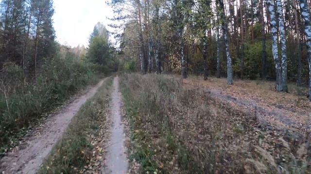 Осенние покатушки на мопеде альфа. Катаю по заброшенным деревням смотреть онлайн