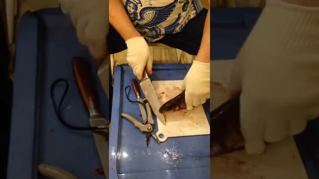 Чистка Свежей Рыбы смотреть онлайн