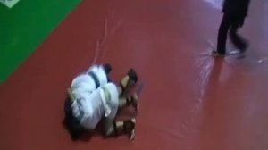 Рукопашный бой 2010_1.avi