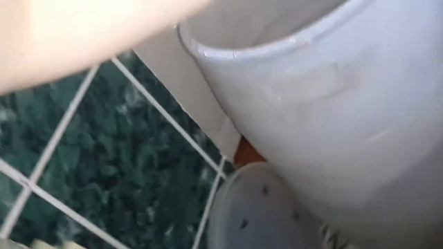 Как научить кота ловить рыбу смотреть онлайн