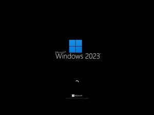 Windows Never Released 500