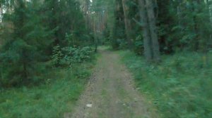 digma dicam 870 fhd@30fps IS-on , сумерки 1.08.22