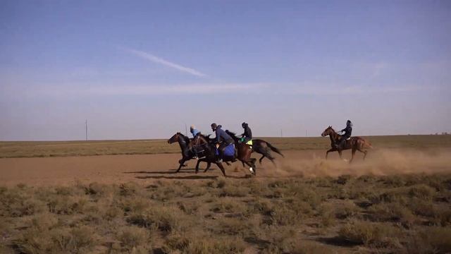 Полное видео - 3 ЗАЕЗД конных состязаний в Кунбатаре 05.11.2023! #Аскор #Скачки #Кунбатар смотреть онлайн
